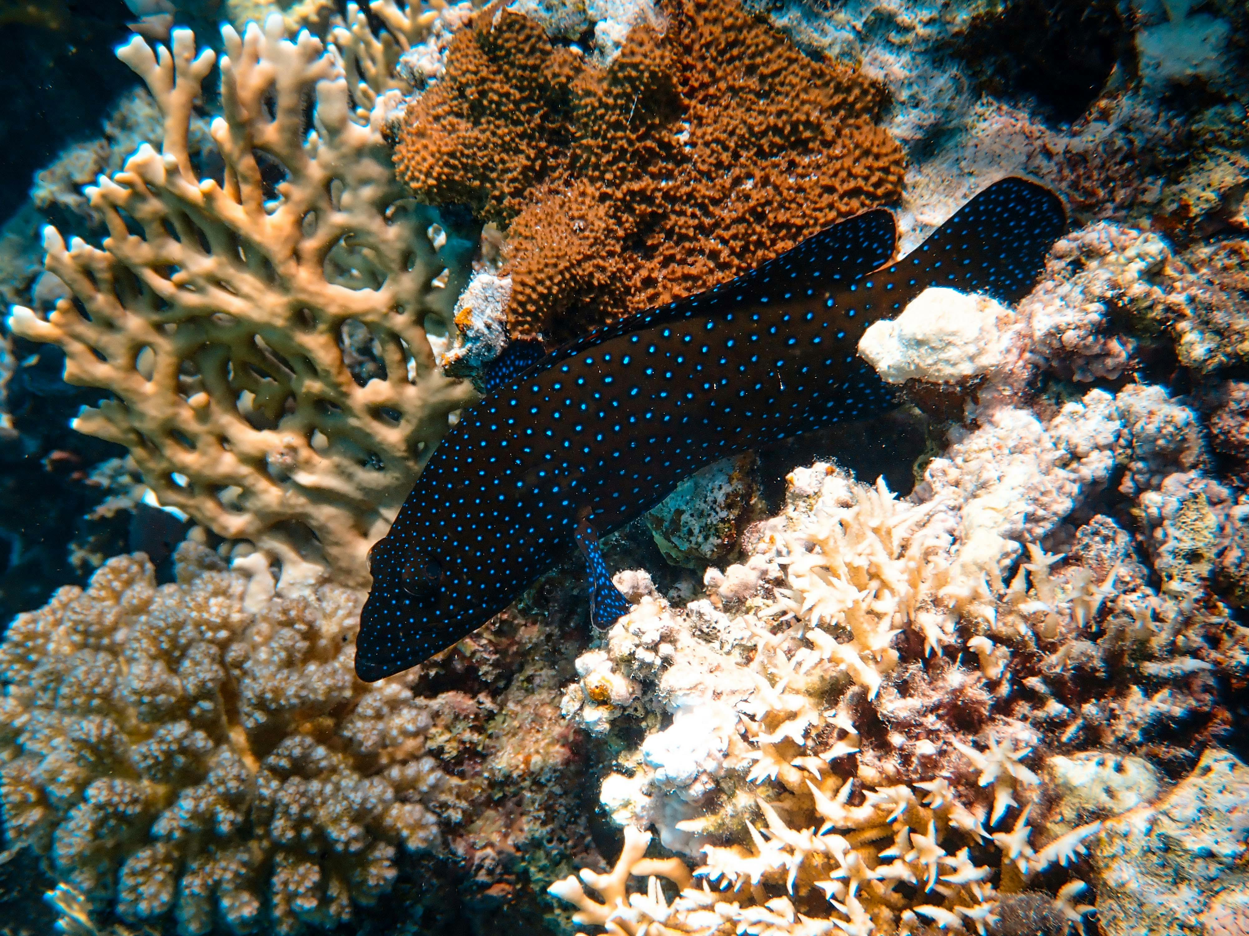 slideshow-image-9