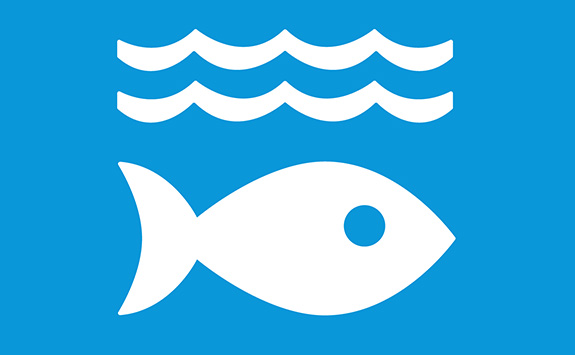 SDG 14